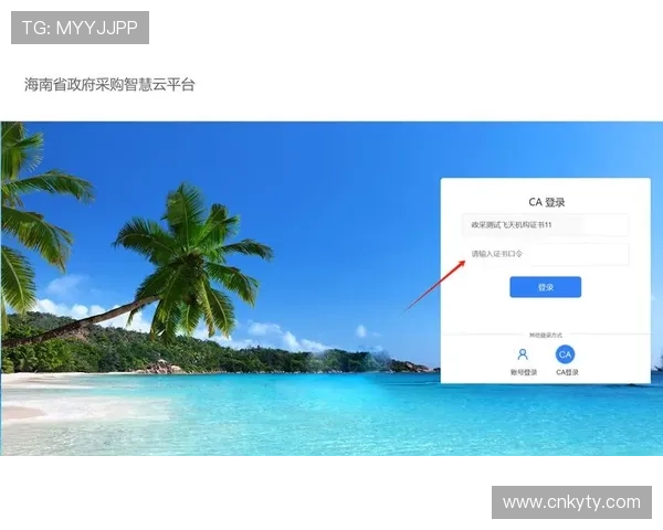 开云网页登录与传统登录方式的对比分析，灵活选择更适合的方式