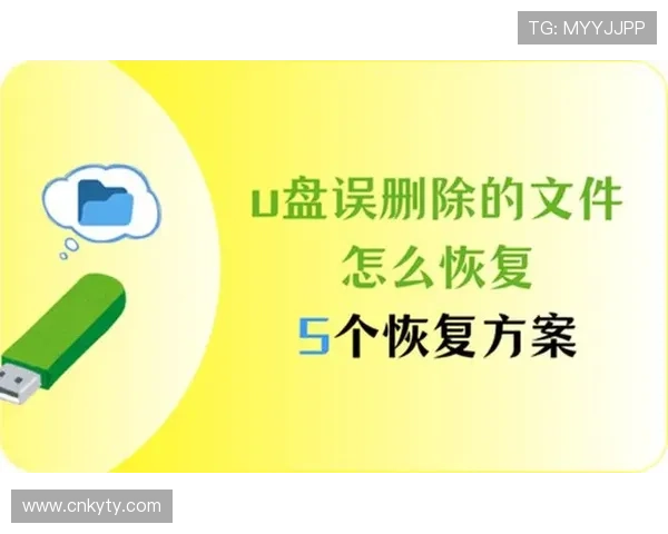 开云手机登录流程全攻略，快速掌握登录操作提升使用效率