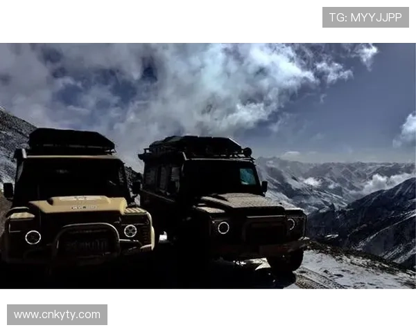 开云官网线上登陆流程详解帮助用户快速顺利进入账号