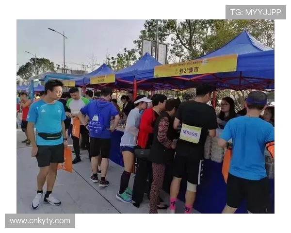 开云体育登陆入口最新官方入口地址全面更新，确保用户快速安全登录体验提升