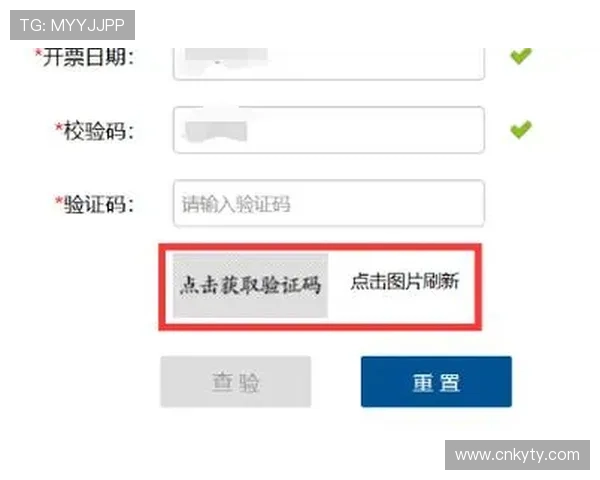开云官网登录验证码无法输入的原因分析及有效解决方案详解